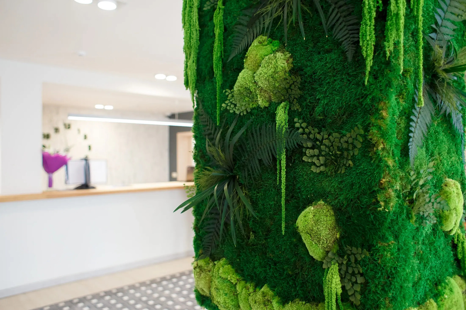 База отдыха Широкая