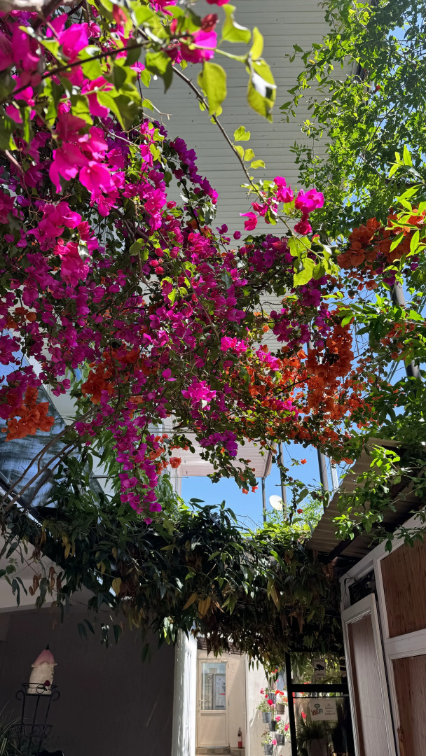 Гостевой Дом Кипарис