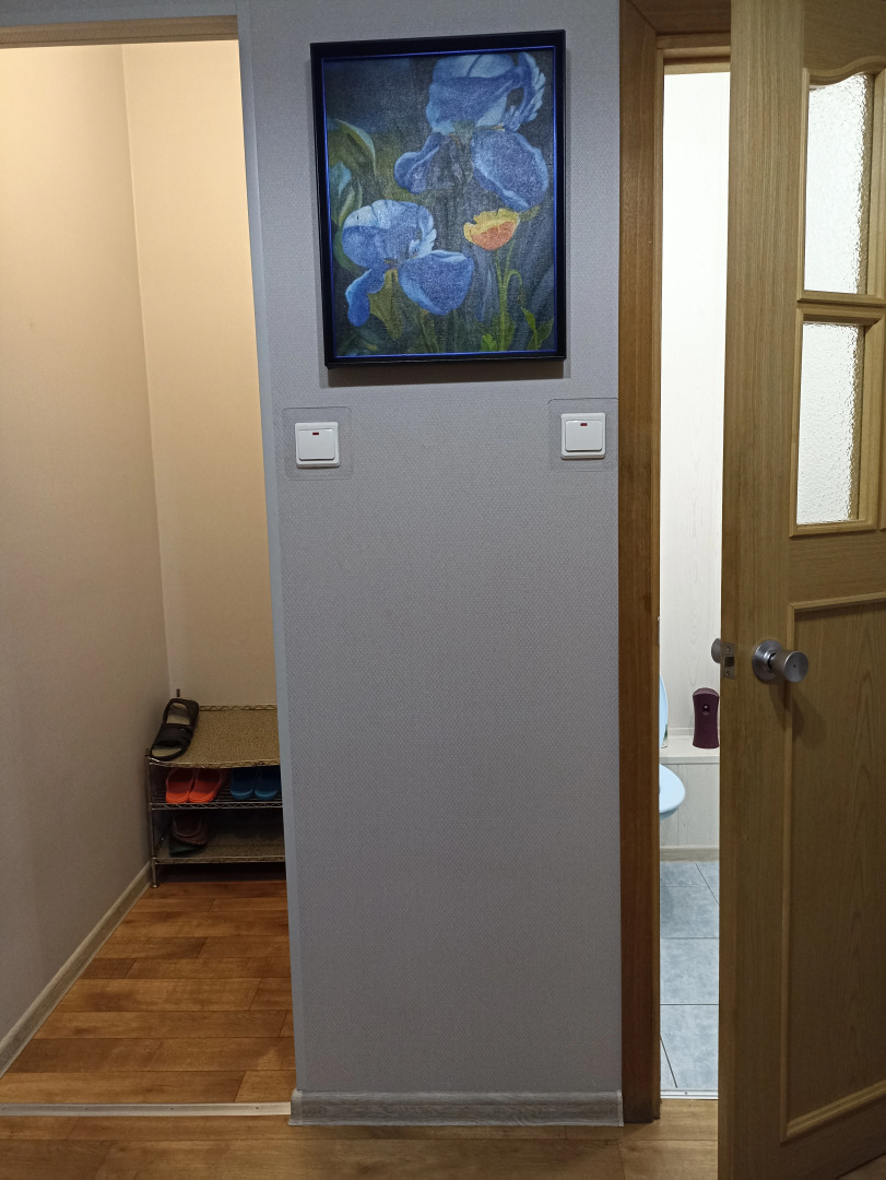 Апартаменты Zvezdnaya