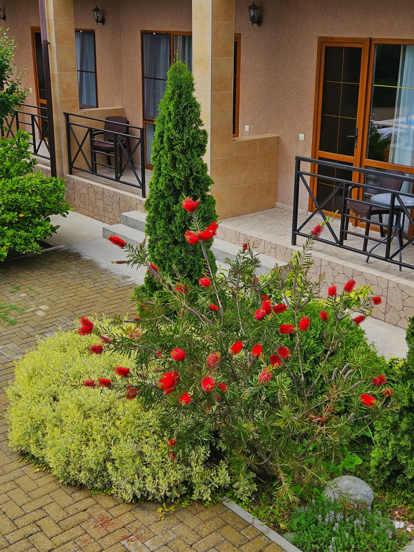 Бутик Отель Eco Life