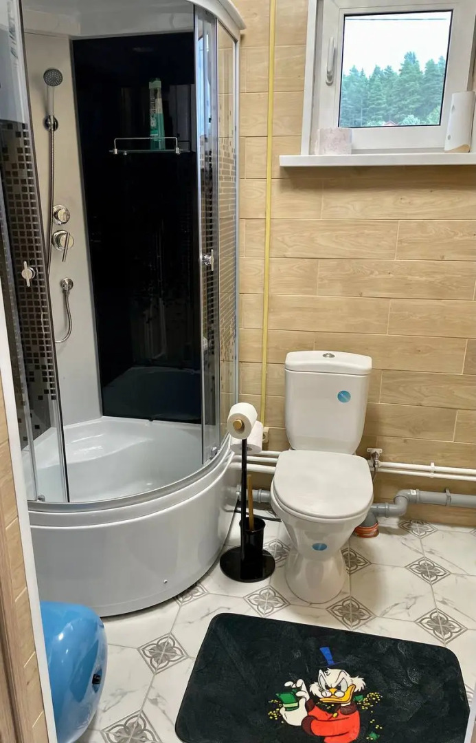 Частный Дом Утиная История