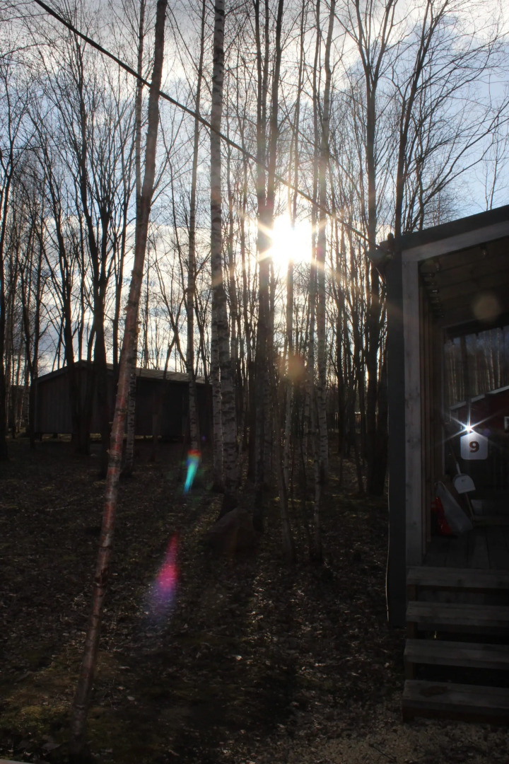 Частный дом в берёзовой роще