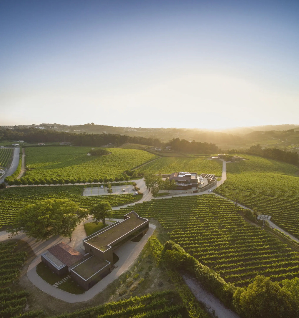 Отель Monverde - Wine Experience Hotel by Unlock Hotels