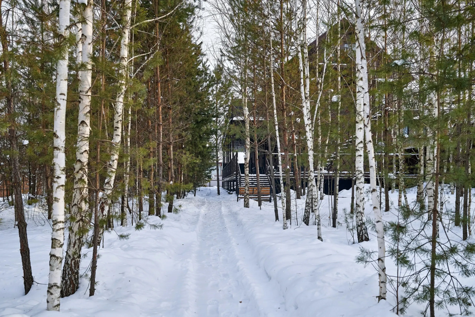 Отель Ель и Пихта