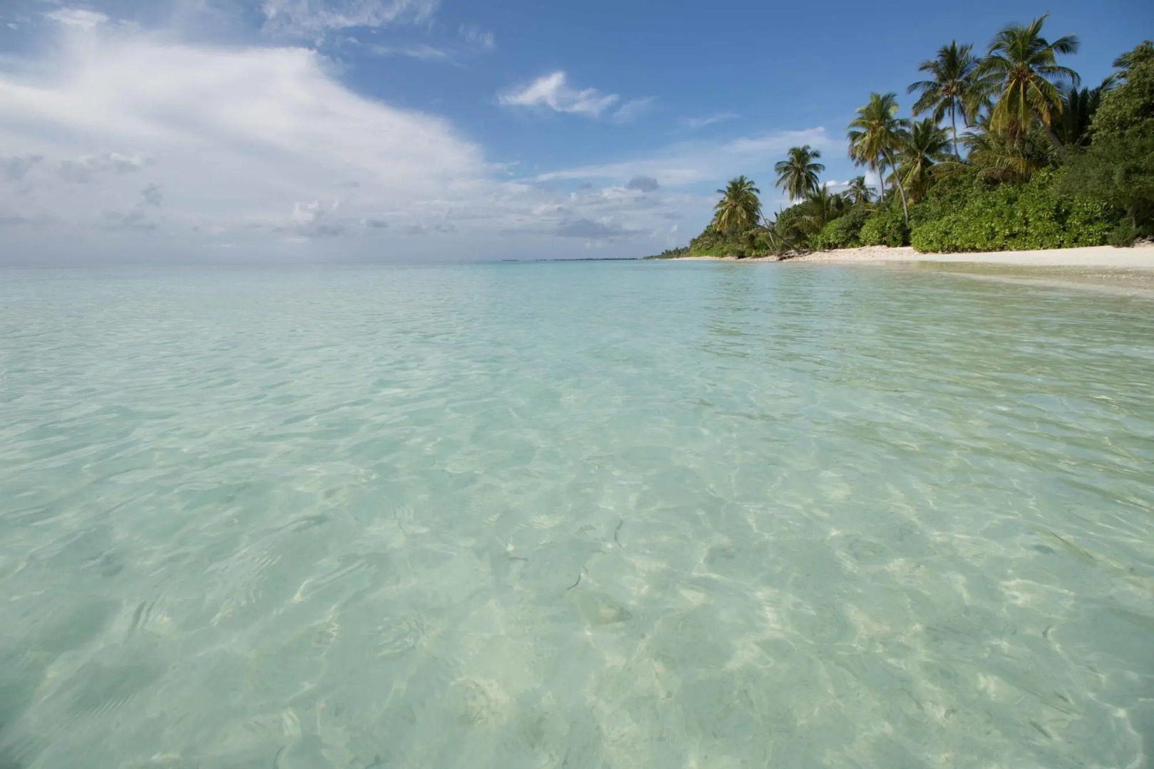 Canareef Resort Maldives