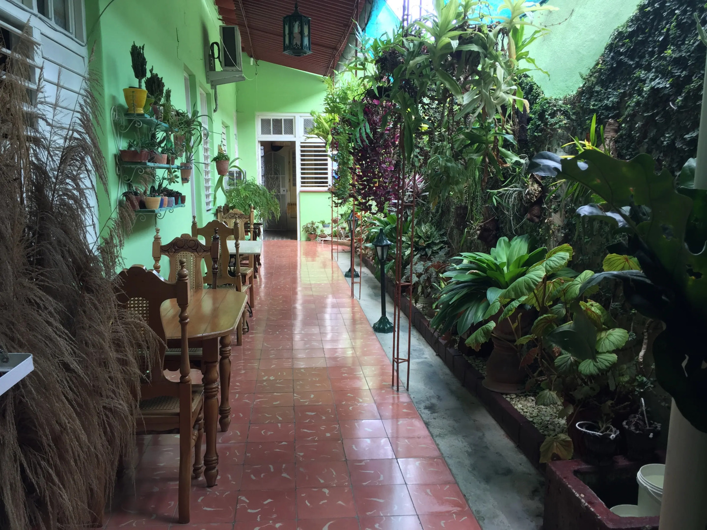 Хостел D´avila Casa Verde