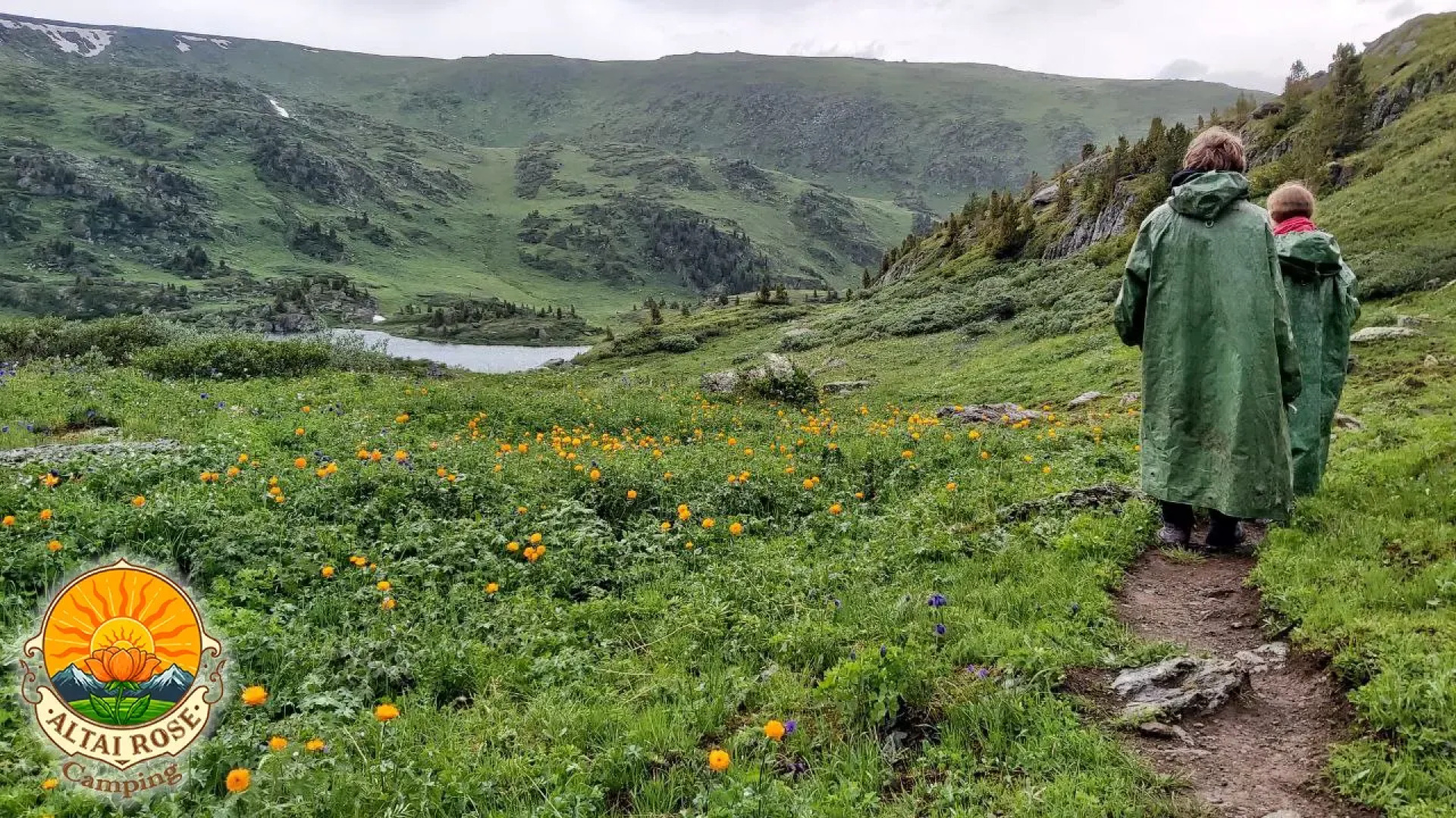База отдыха Алтайская Роза