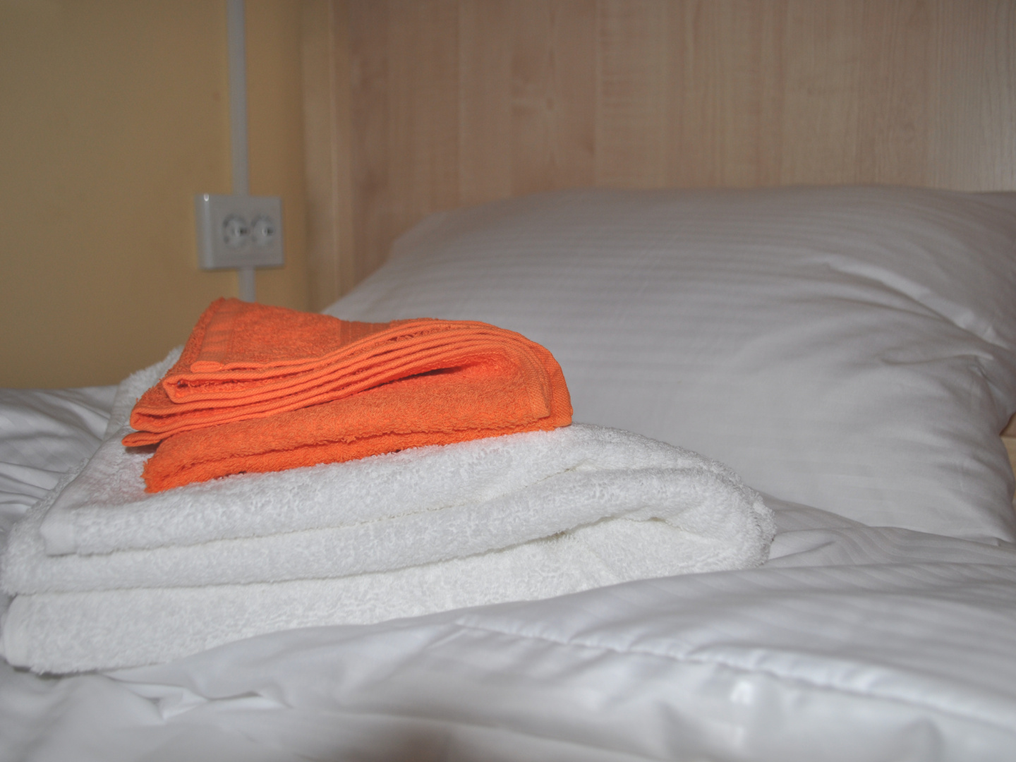 Suricata Hostel