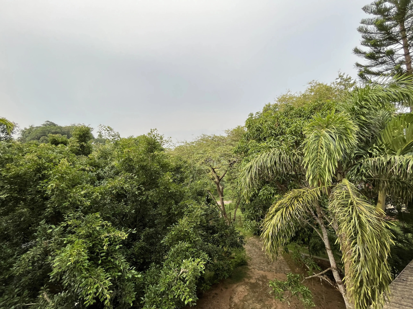 Вилла Dinoos Weligama