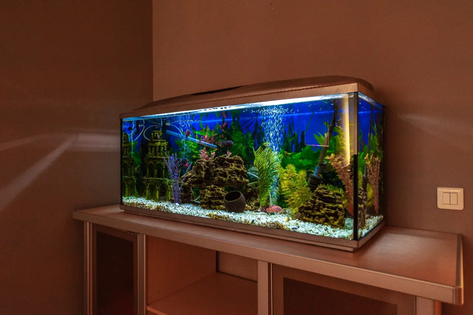 Квартира ApartHause у Екатеринбург-Арена и Госпиталя МВД