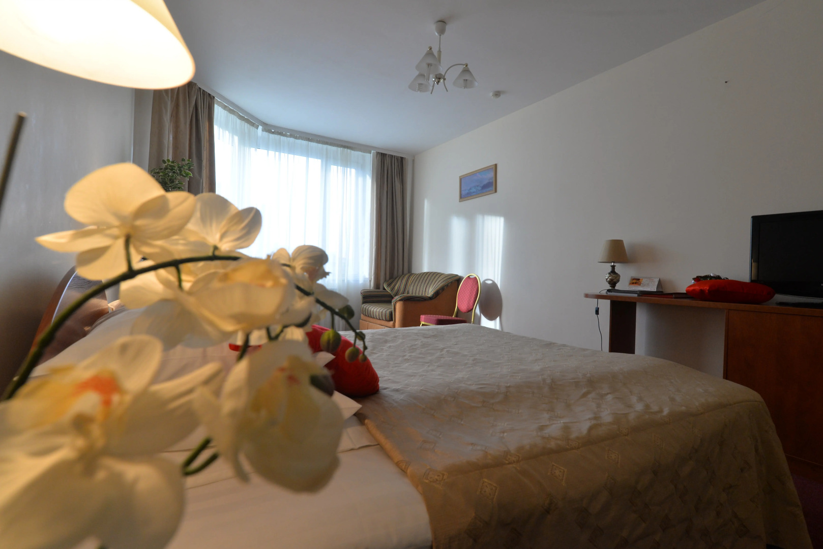 Отель Евротель Центральный