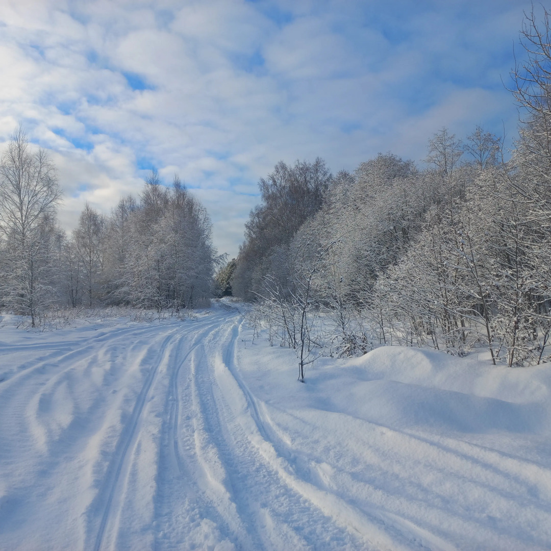 Частный дом с камином Речная Заимка