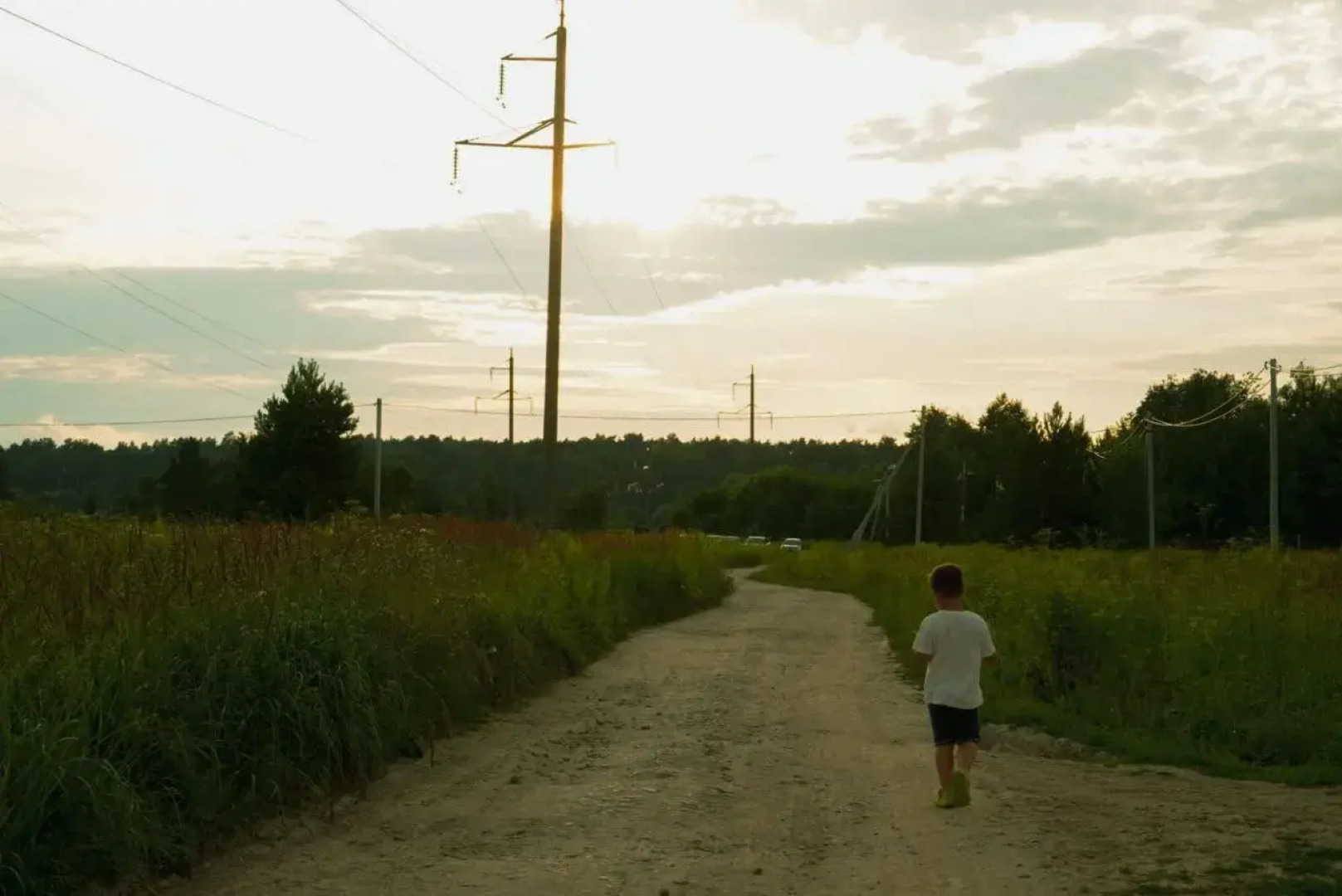 Глэмпинг Дача Хвоя