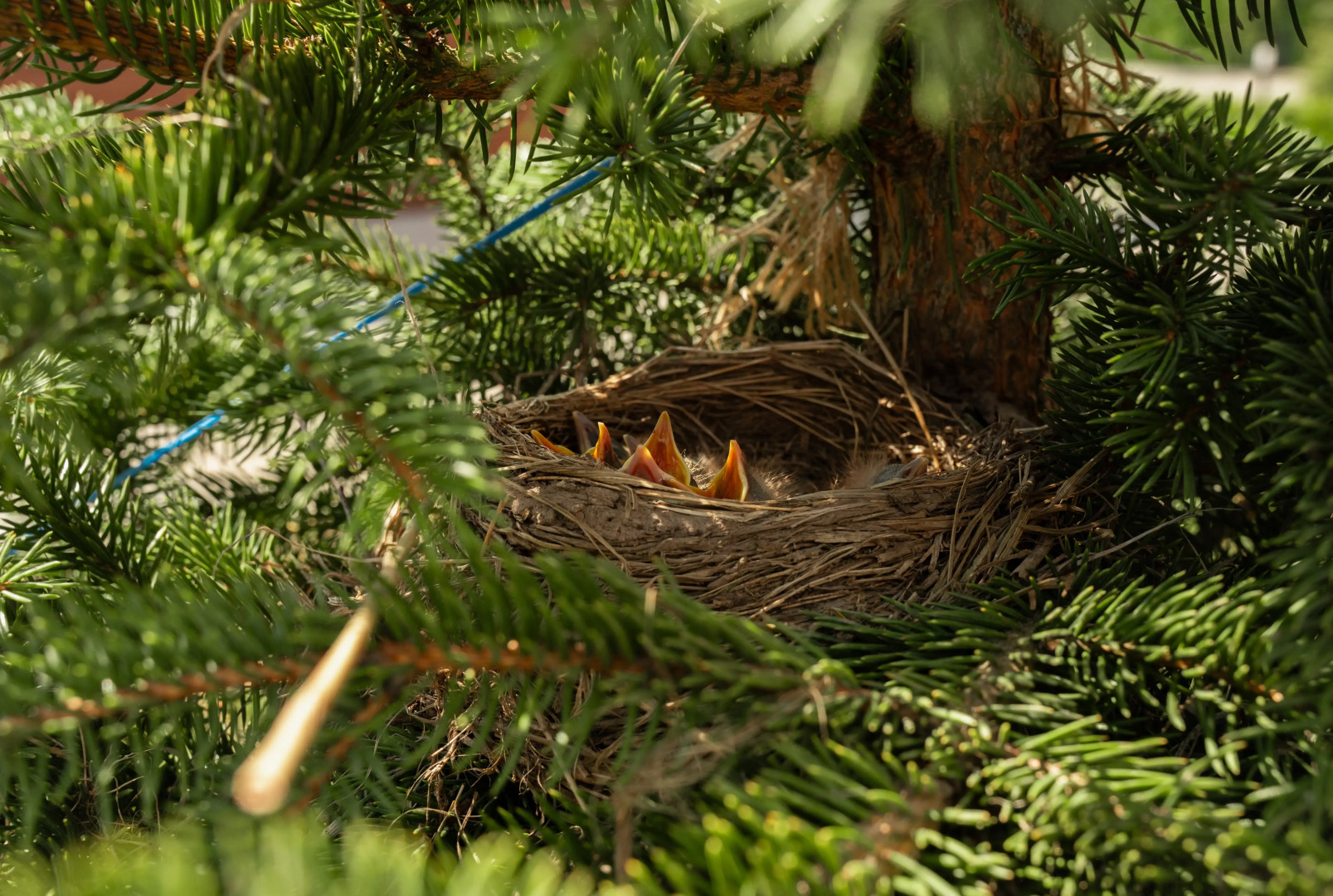 Гостевой дом Эко-отель Агдам