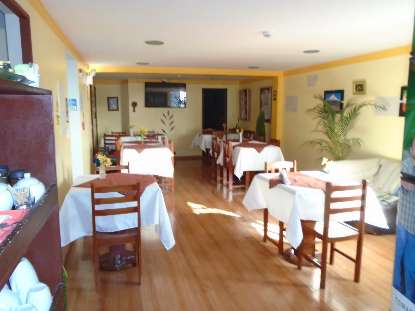 Отель Royal Inca