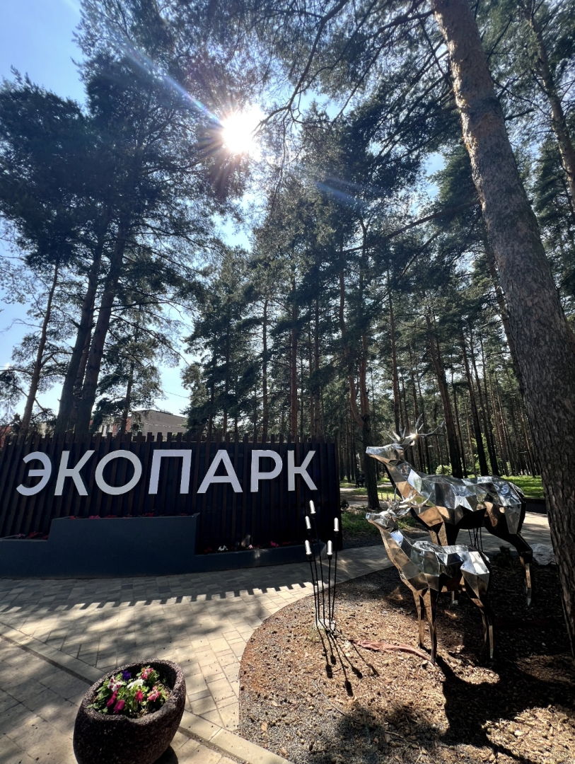 Квартира Экогород 10