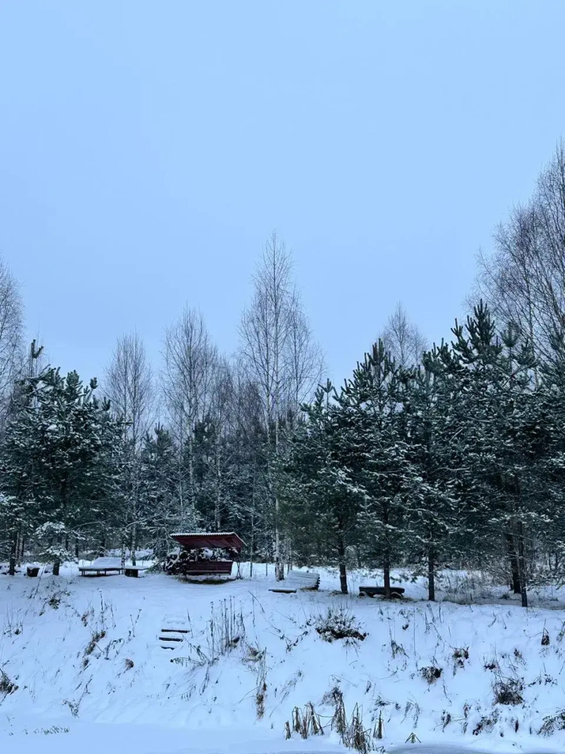 Гостевой дом Чудиново 33