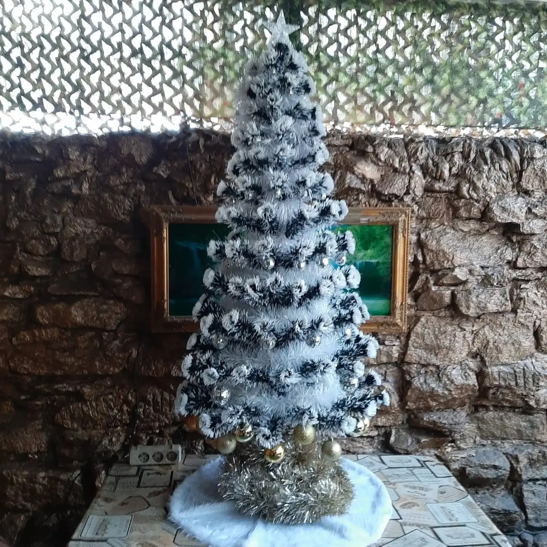 Частный дом Княжна Мери