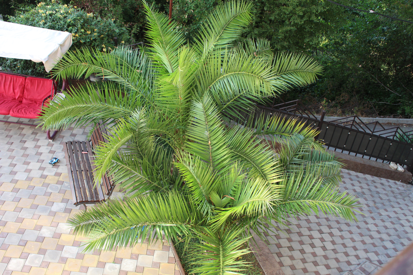 Гостевой дом Вилла Надежда