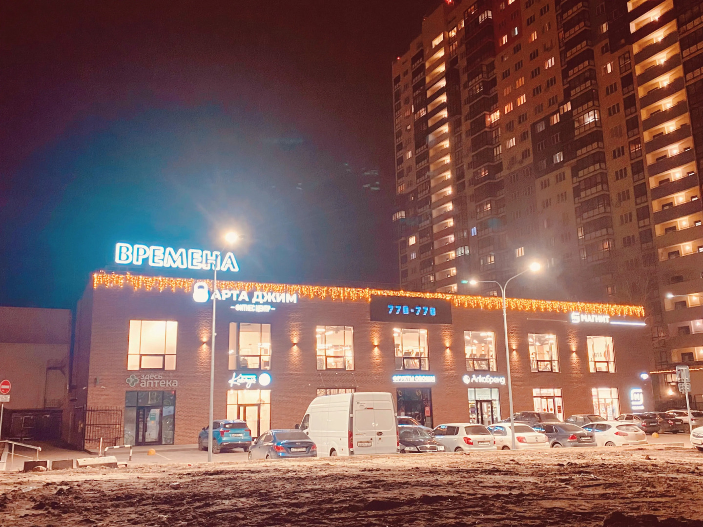 Квартира на Московском шоссе 33 к4