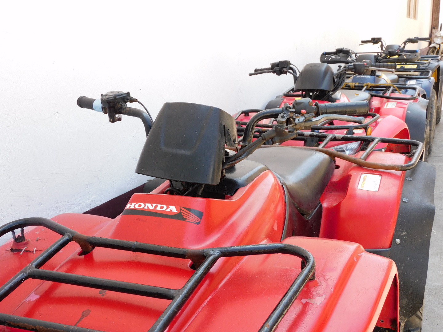 Отель Casa de Huespedes Nayomi By Rotamundos