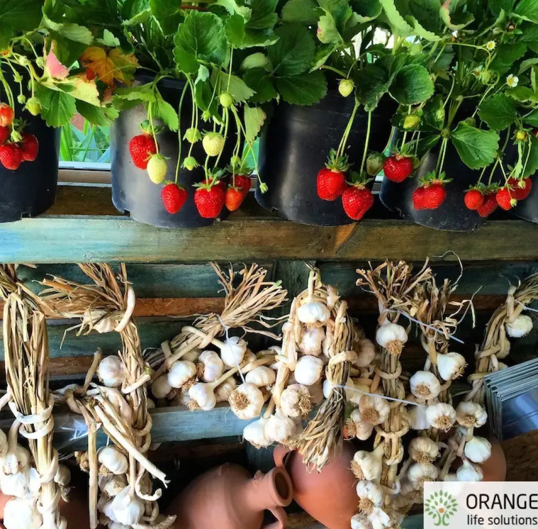 Апартаменты Aphrodite Beachfront Village