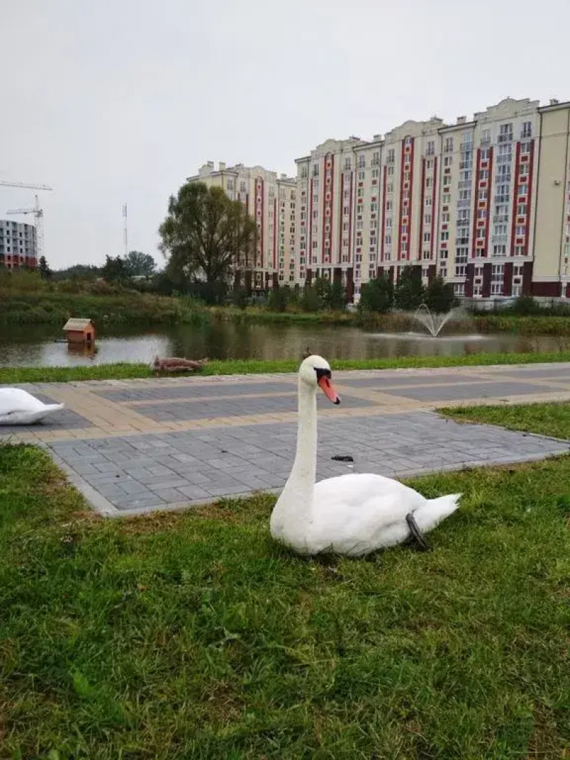 Апартаменты розовая на Солнечной улице 17