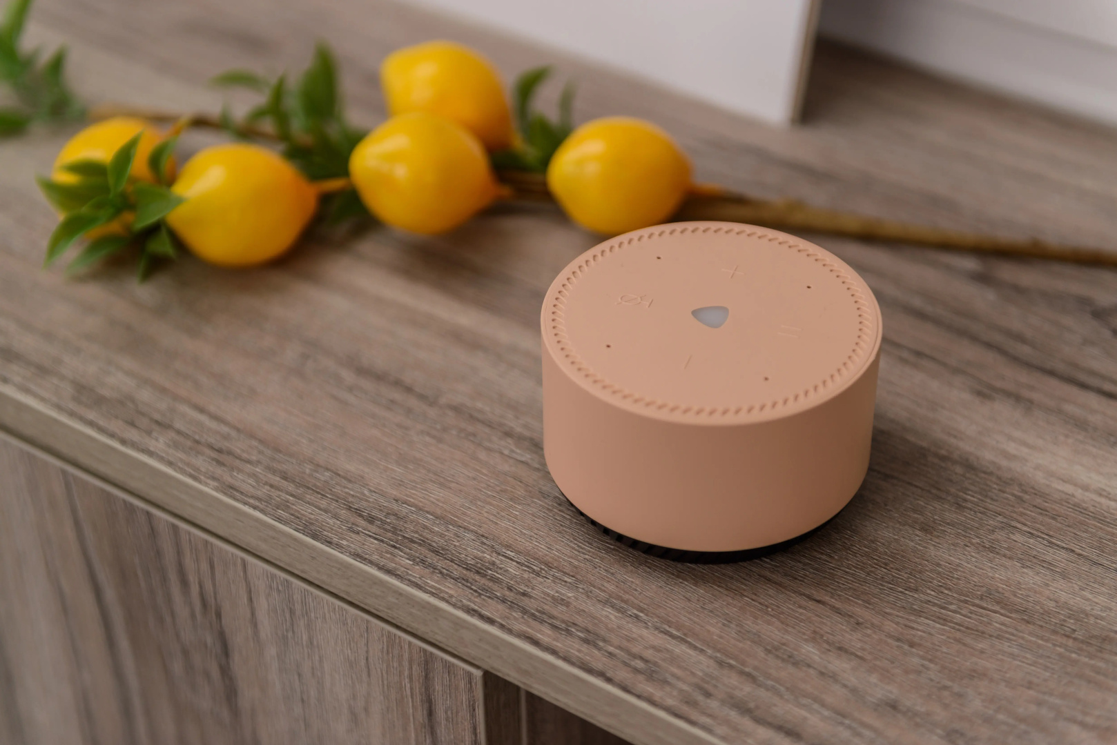 Частный дом Simple Life Home 219