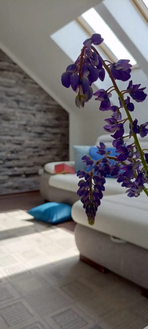 Квартира SEA Apartments