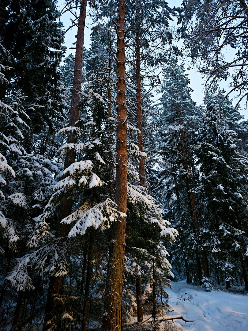 Гостевой дом Green House