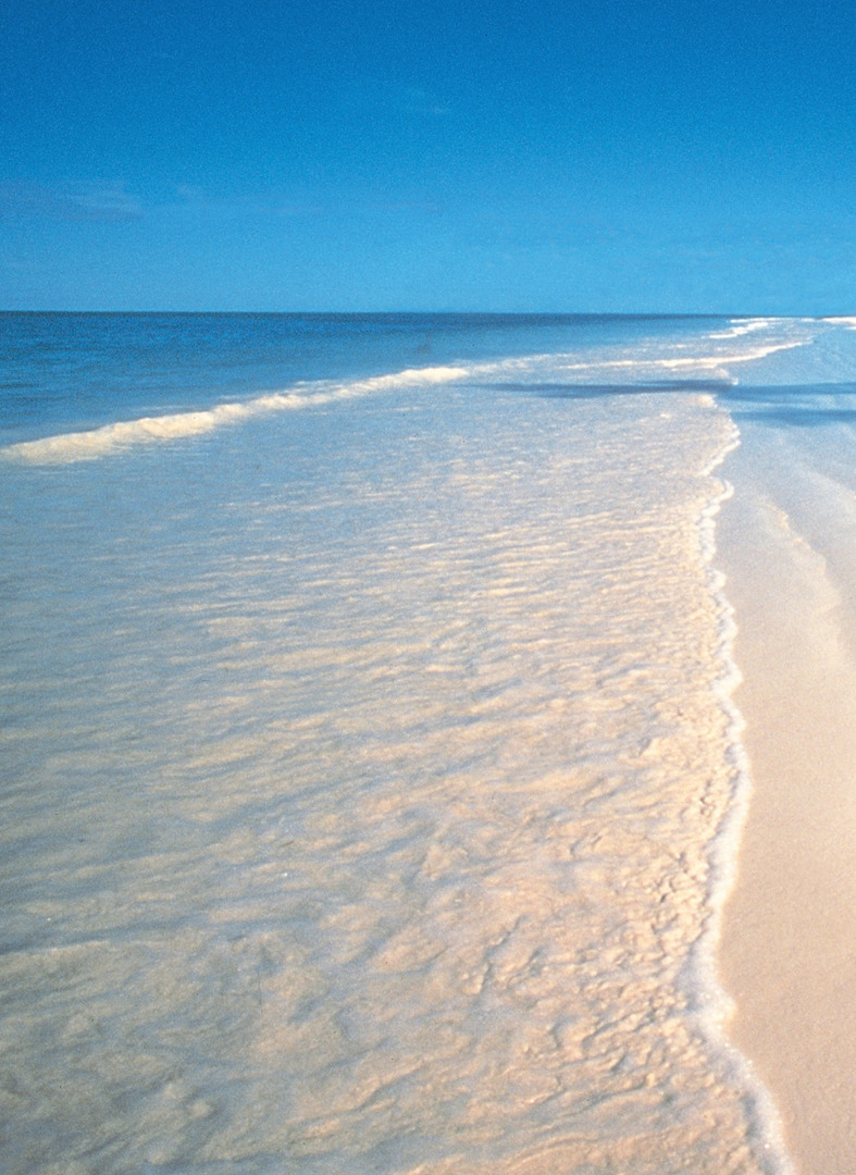 Отель The Palms Zanzibar All Inclusive