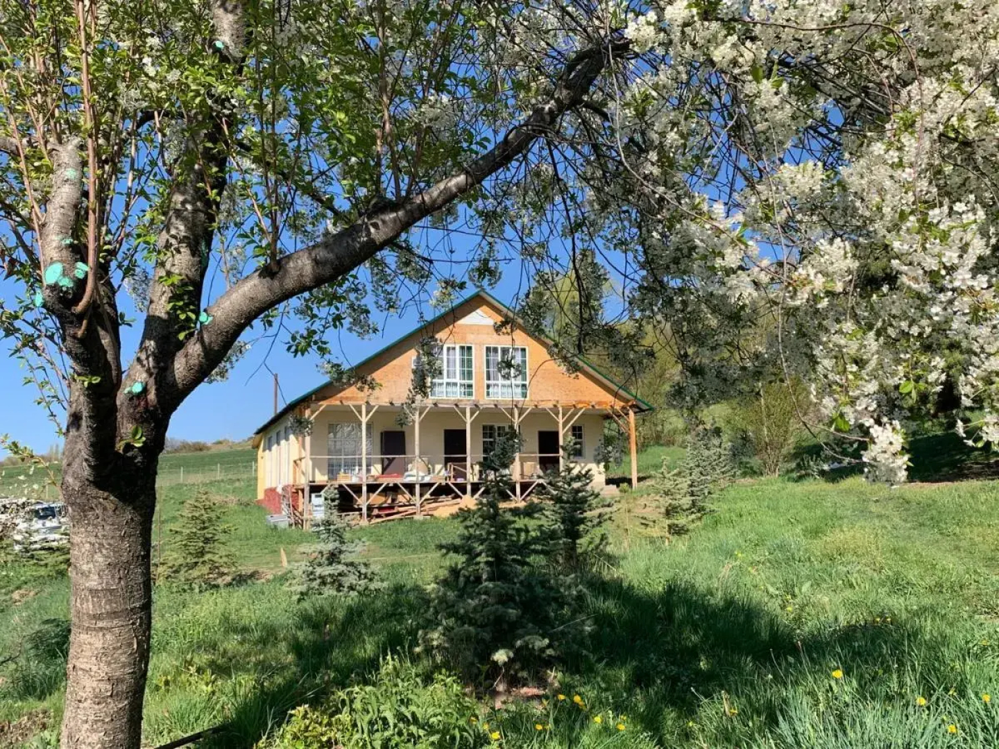 Гостевой дом Atai Guesthouse