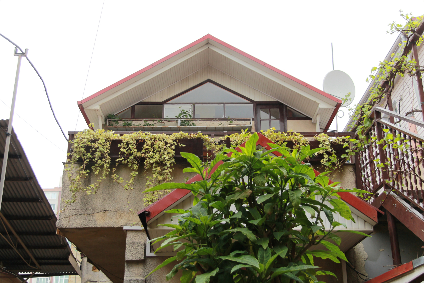 Меблированные комнаты Альянс