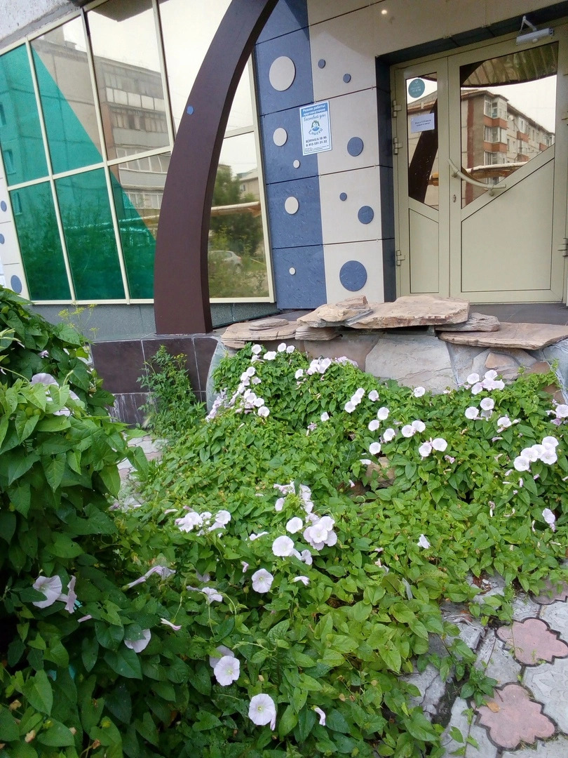 Гостевой дом Енисей