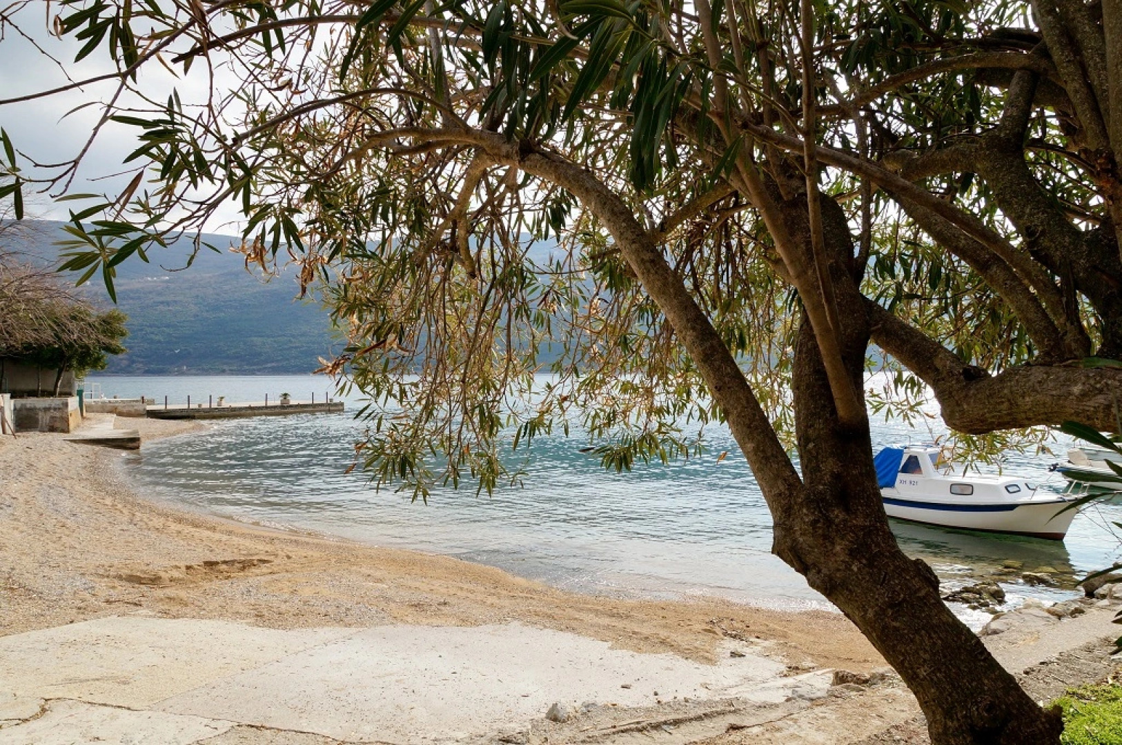 Апартаменты Begonia