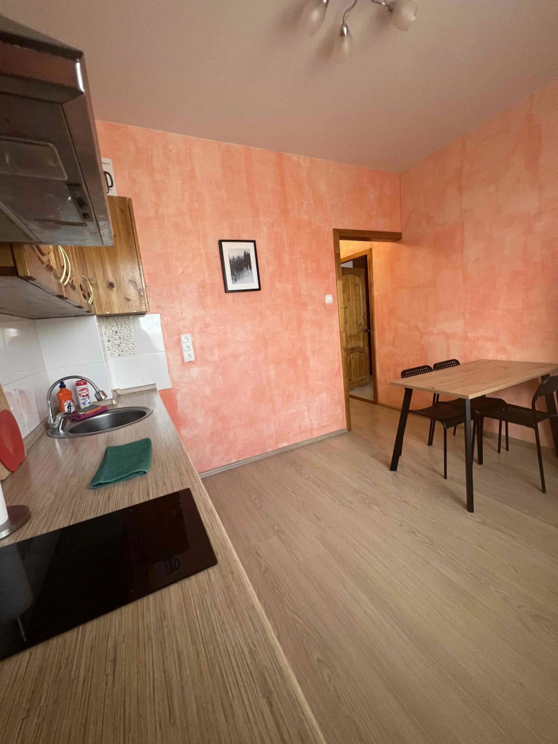 Апартаменты на Склизкова 116