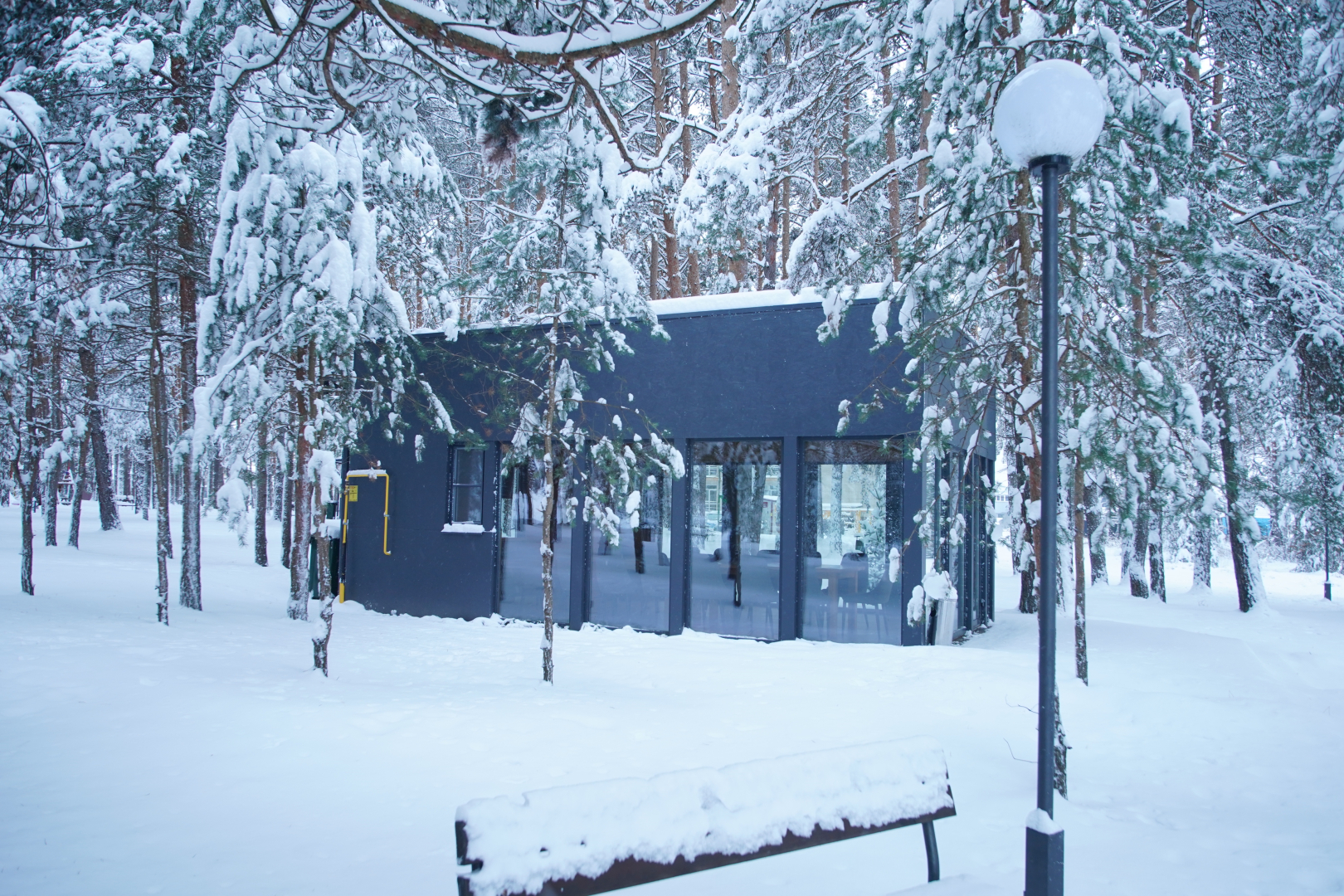 Отель Green Park