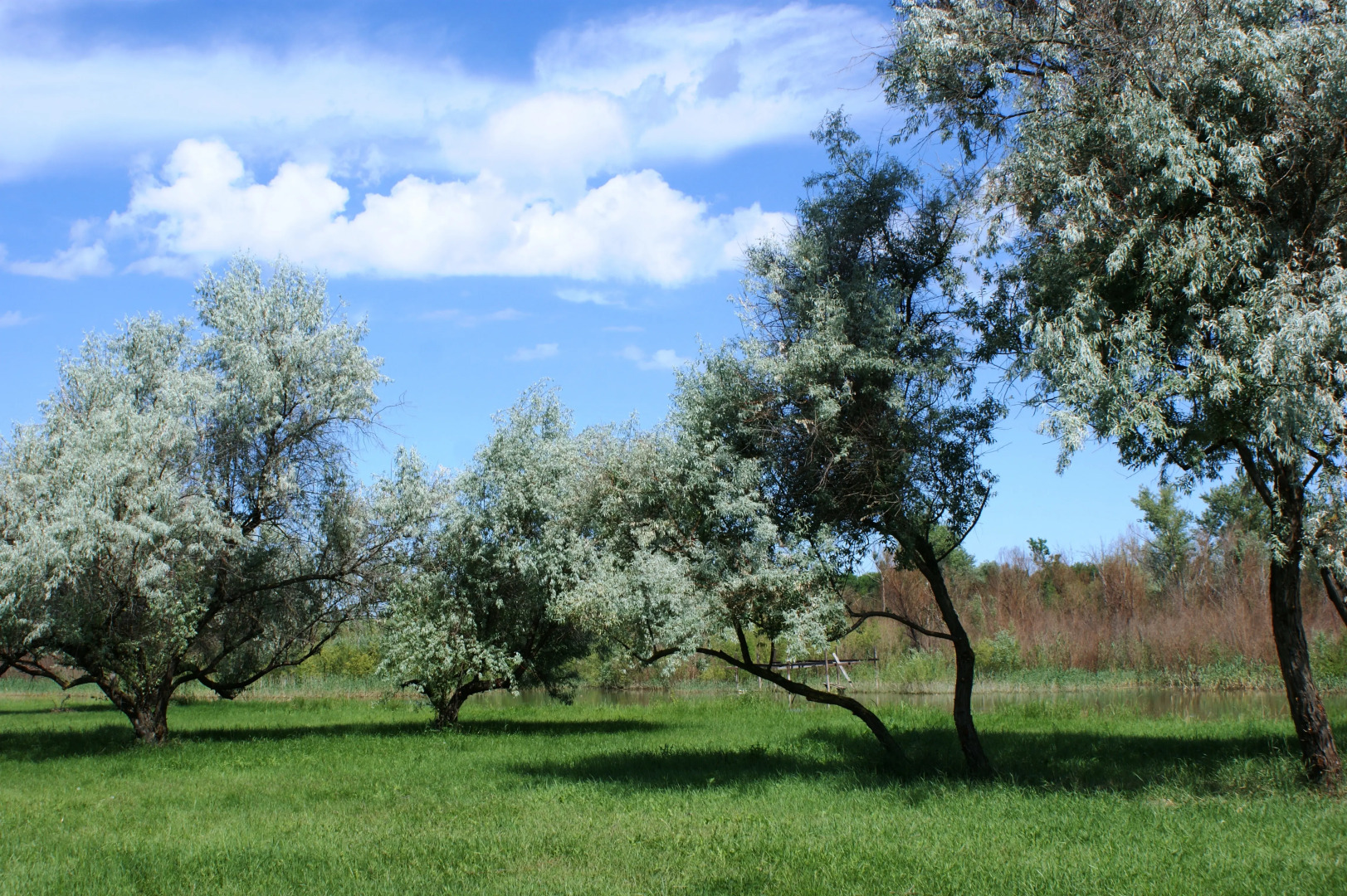 Гостевой Дом Берлога