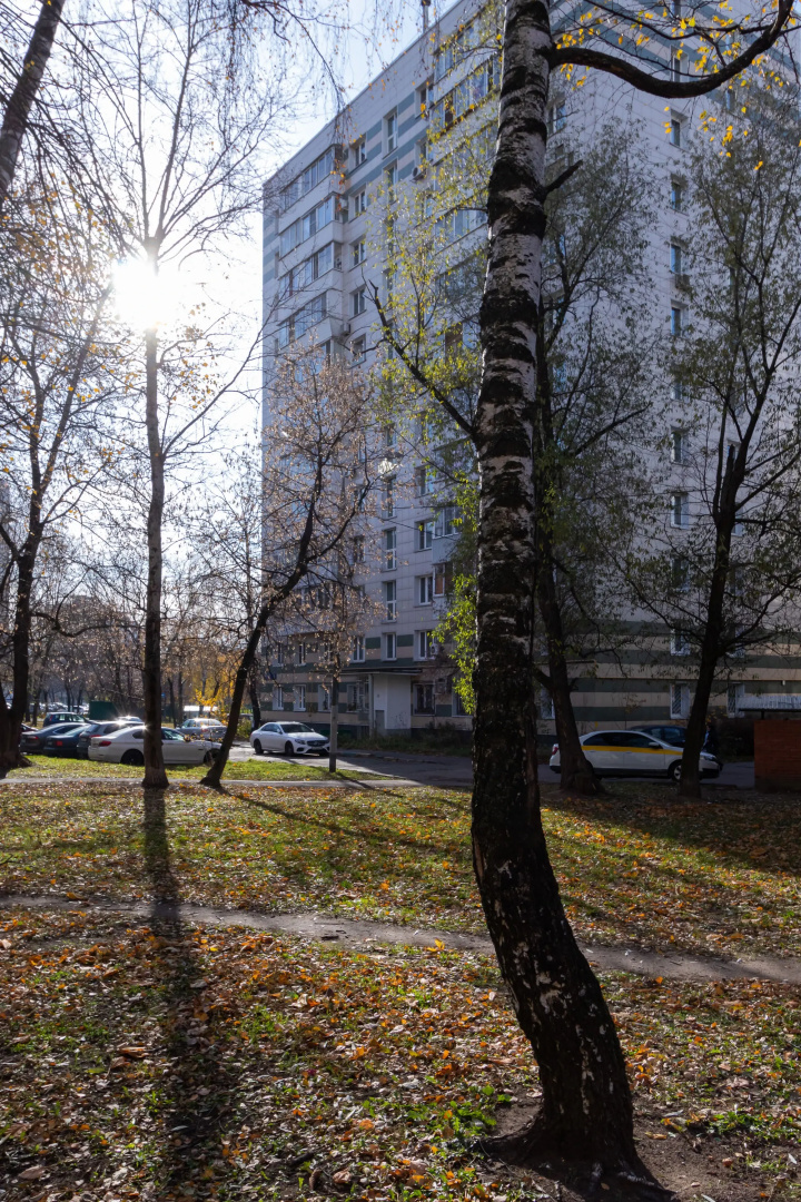Квартира Новелла в Печатниках