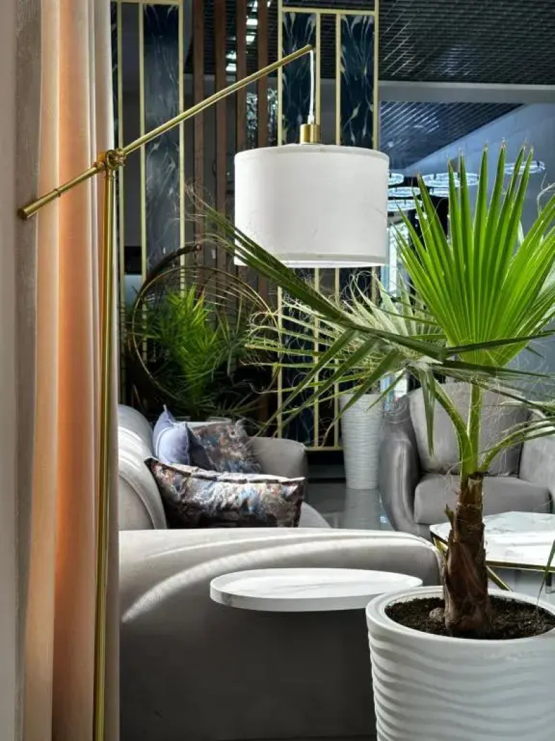 Отель Tauke Khan Plaza