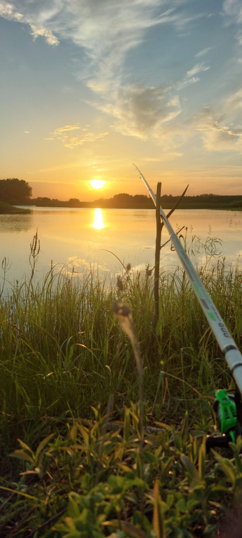 Шале Усадьба Южный Берег Дом для Семейного Отдыха