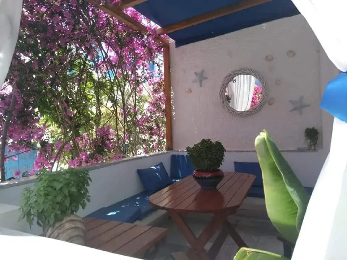 Мини-отель Doron Delfini