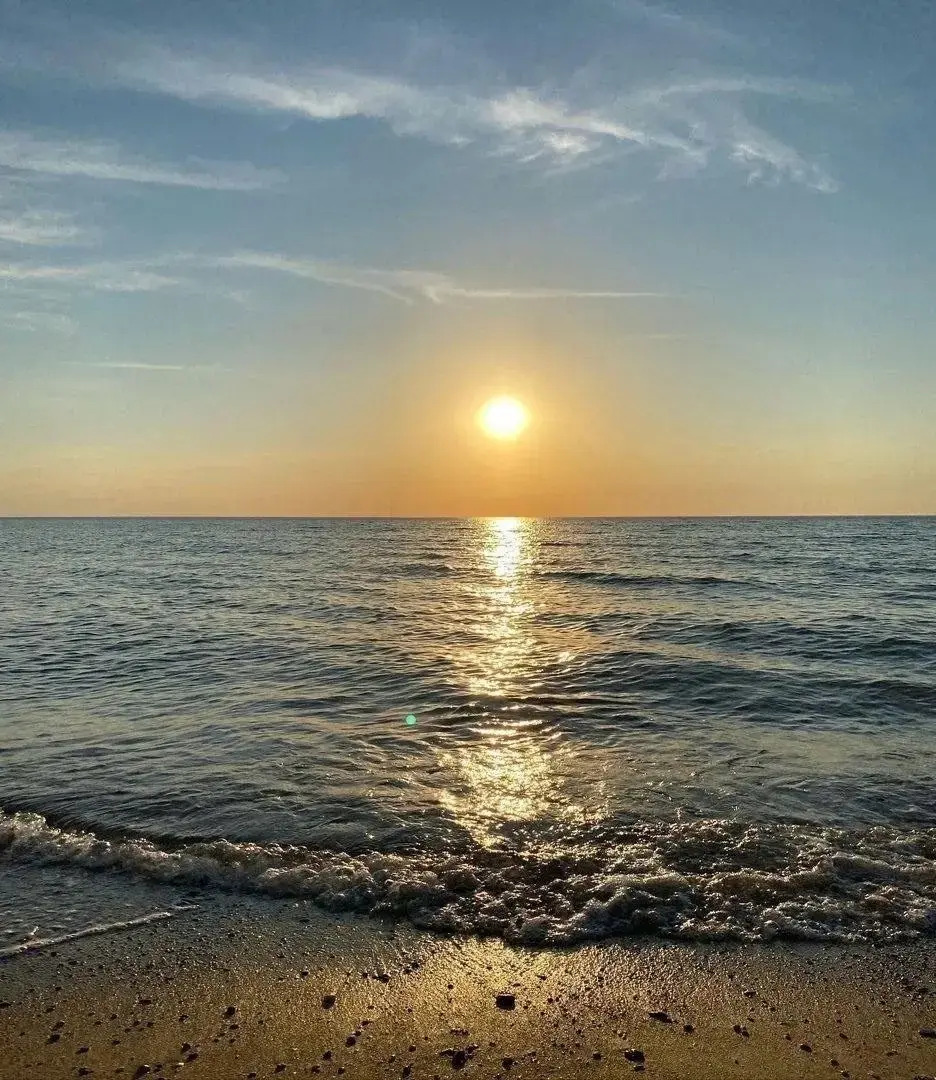 Отель Роман