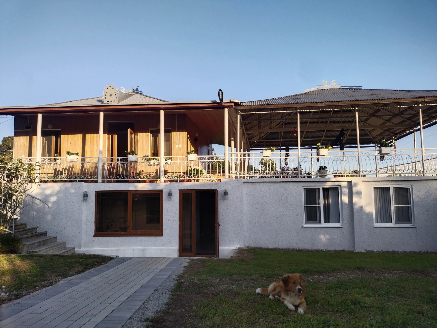 Гостевой дом Цитрус 21