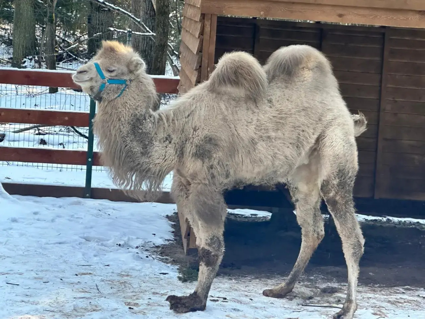 Гостевой дом Порт Внуково