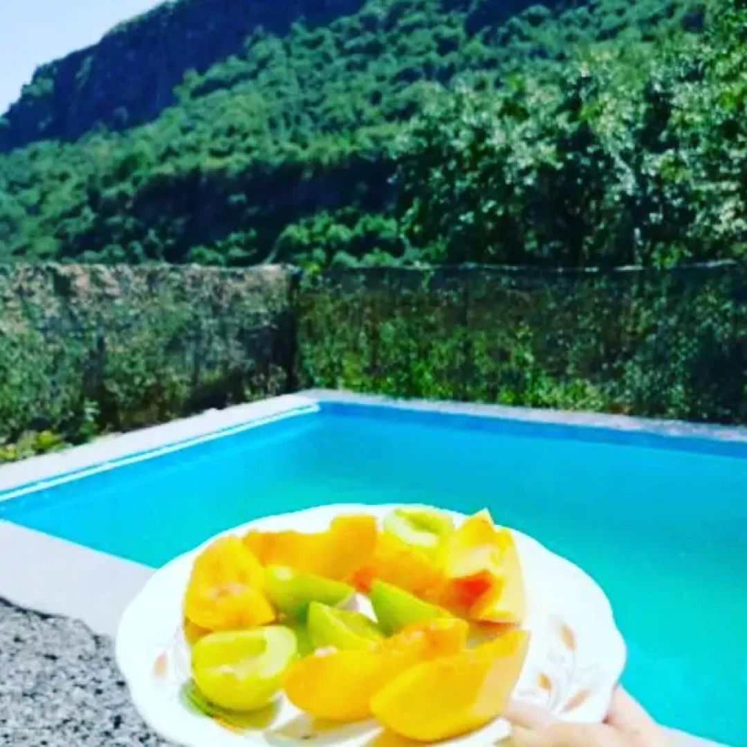 Кемпинг Three poplars by VL