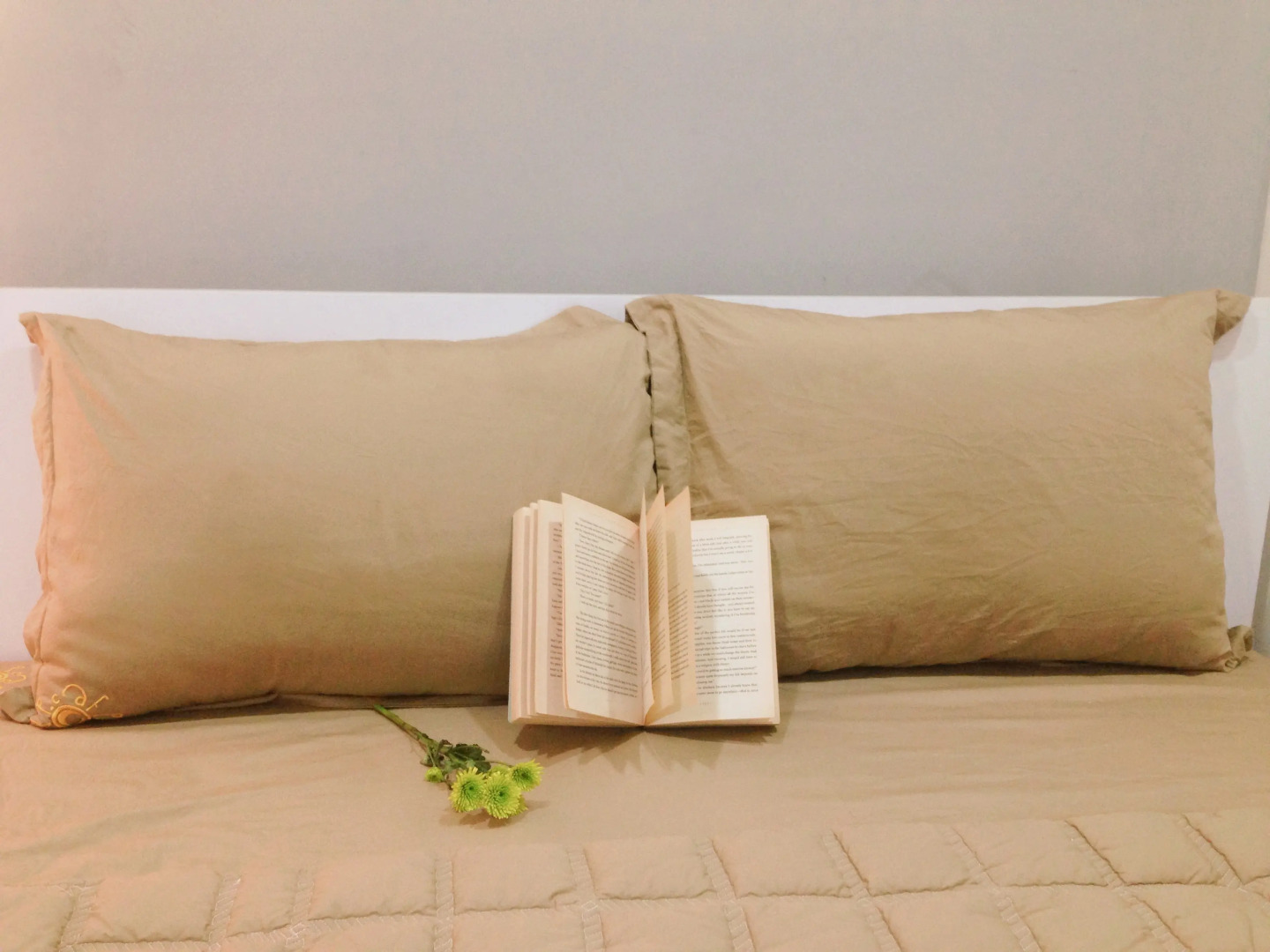 Хостел Carpe Diem Inn Da Nang