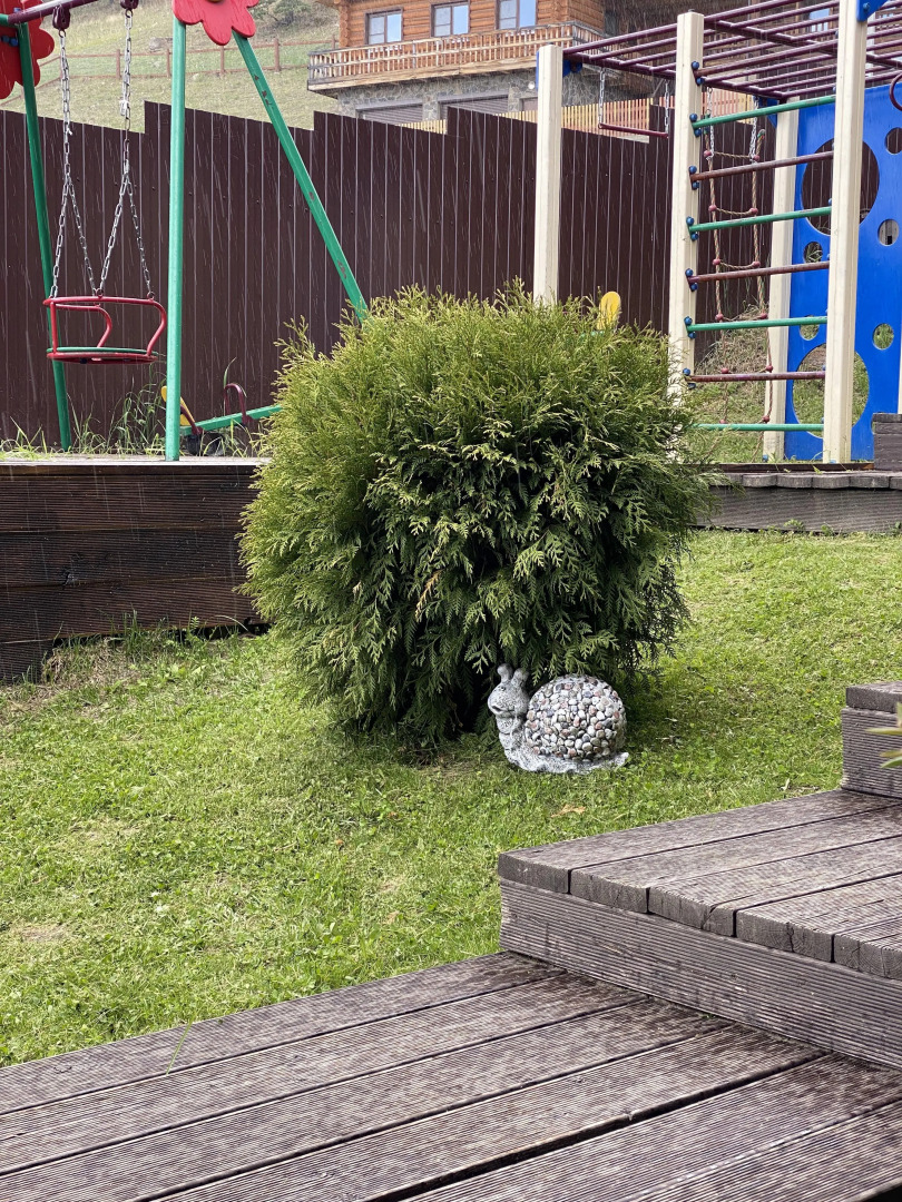 Меблированные комнаты Медведица