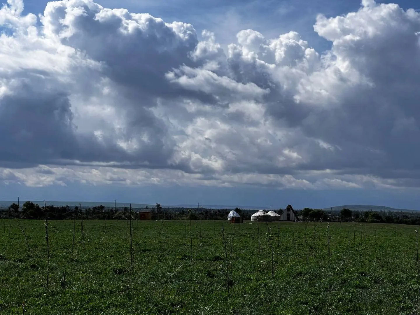 Глэмпинг Светлый Мыс