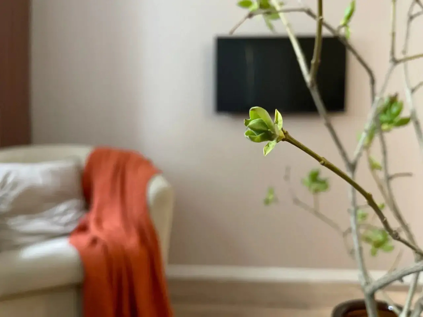 Квартира в историческом центре Великого Новгорода